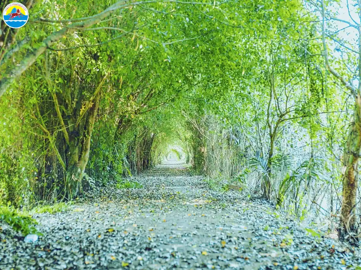 khu du lịch sinh thái ở đồng tháp​