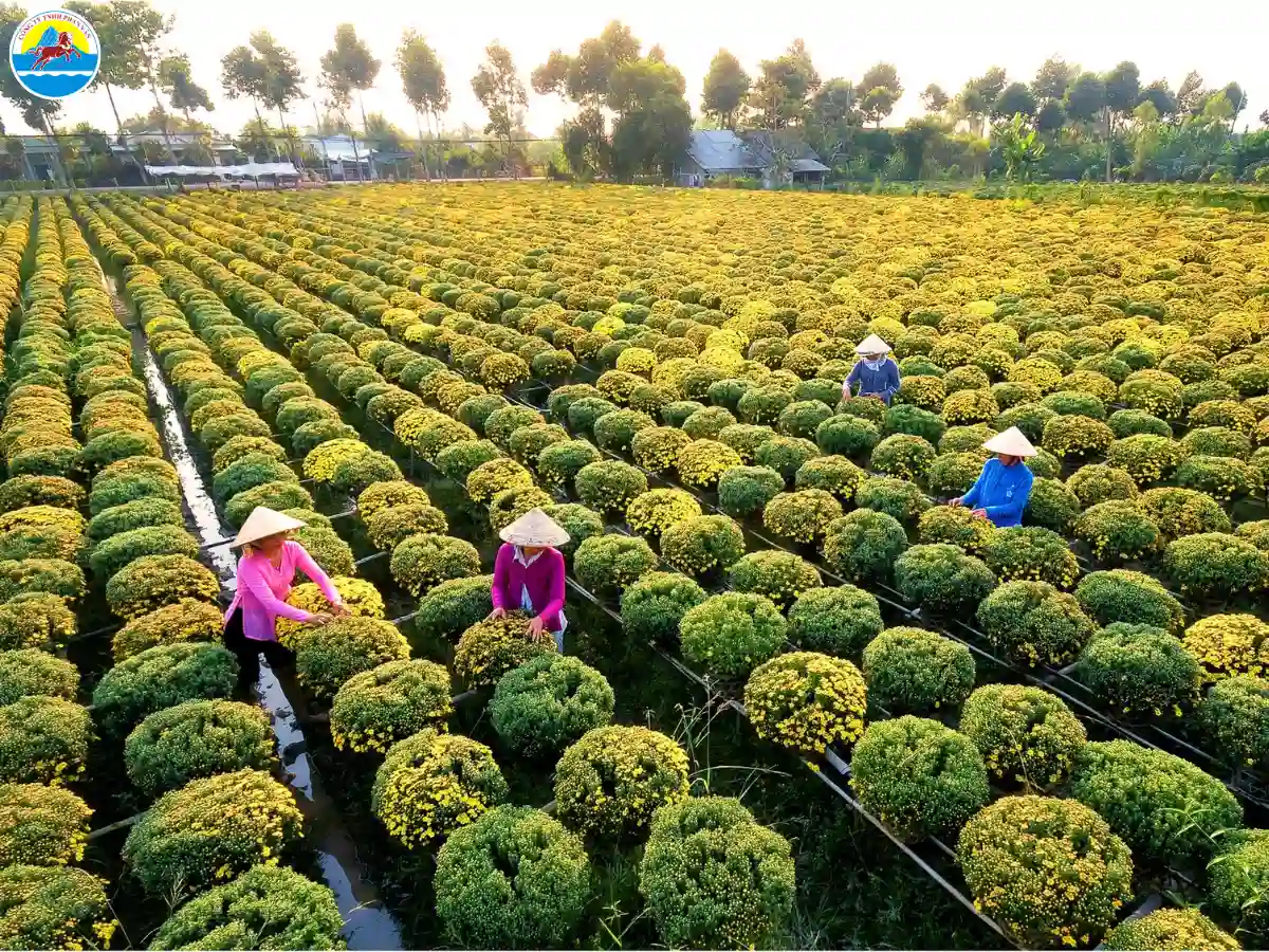 khu du lịch sinh thái ở đồng tháp​