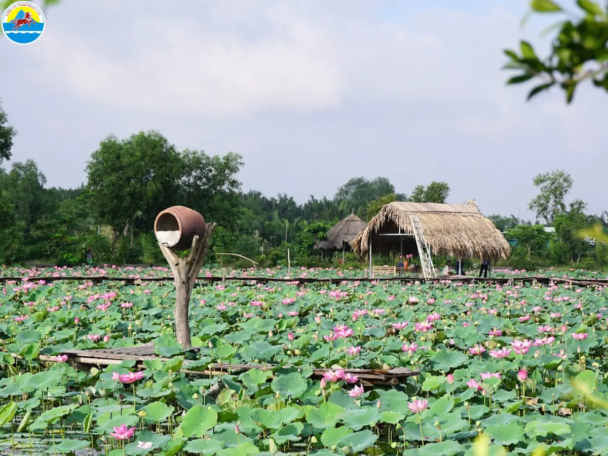khu du lịch ở quận 9​
