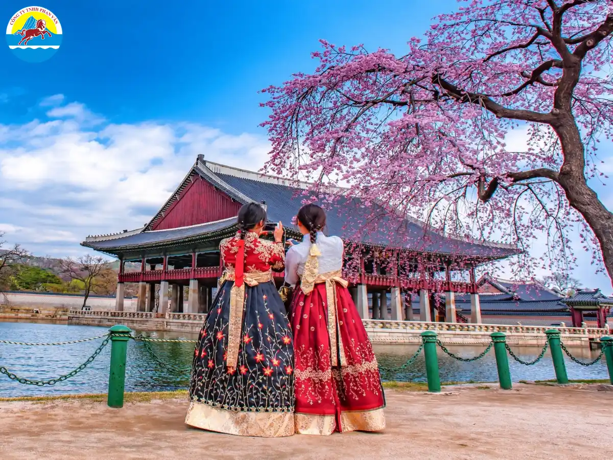 Du lịch Hàn Quốc theo tour là lựa chọn tối ưu cho người mới