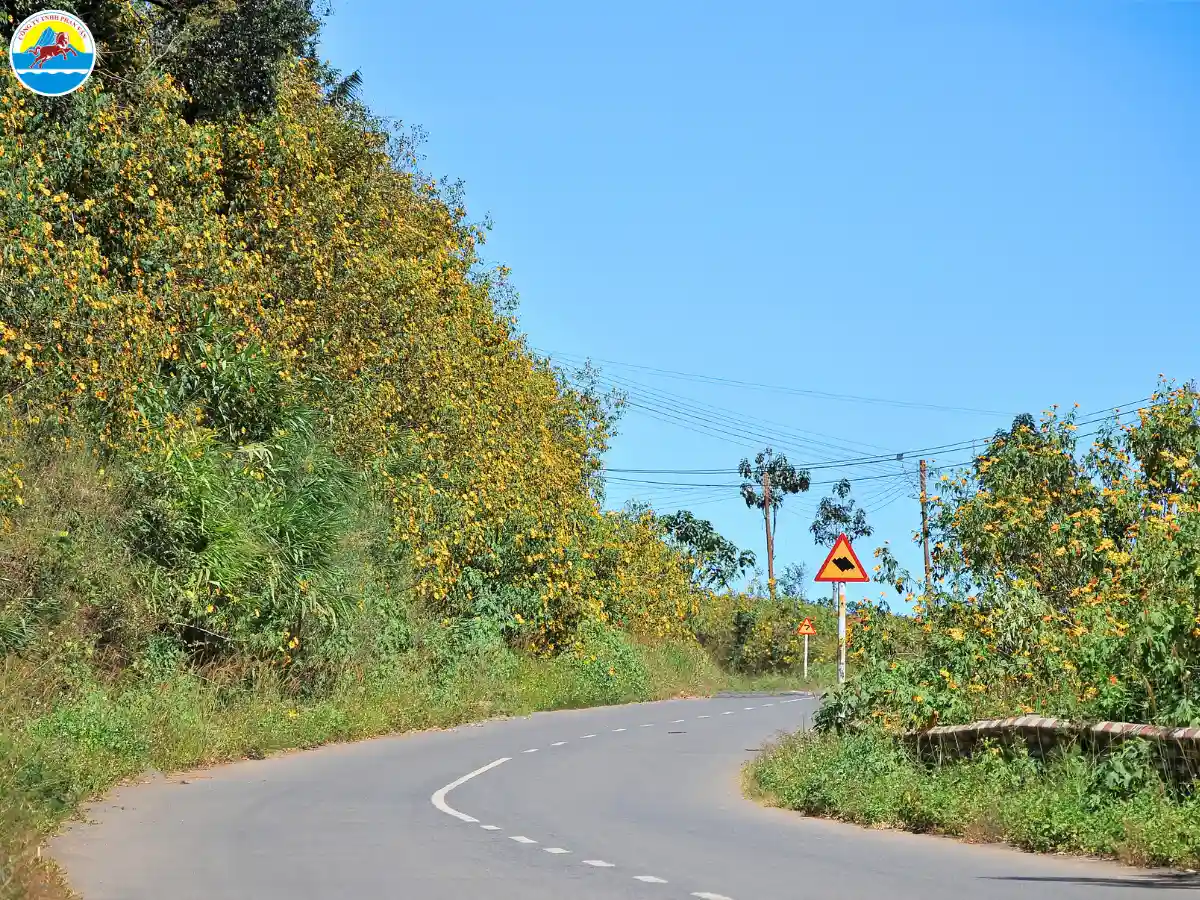 đi đà lạt một mình​