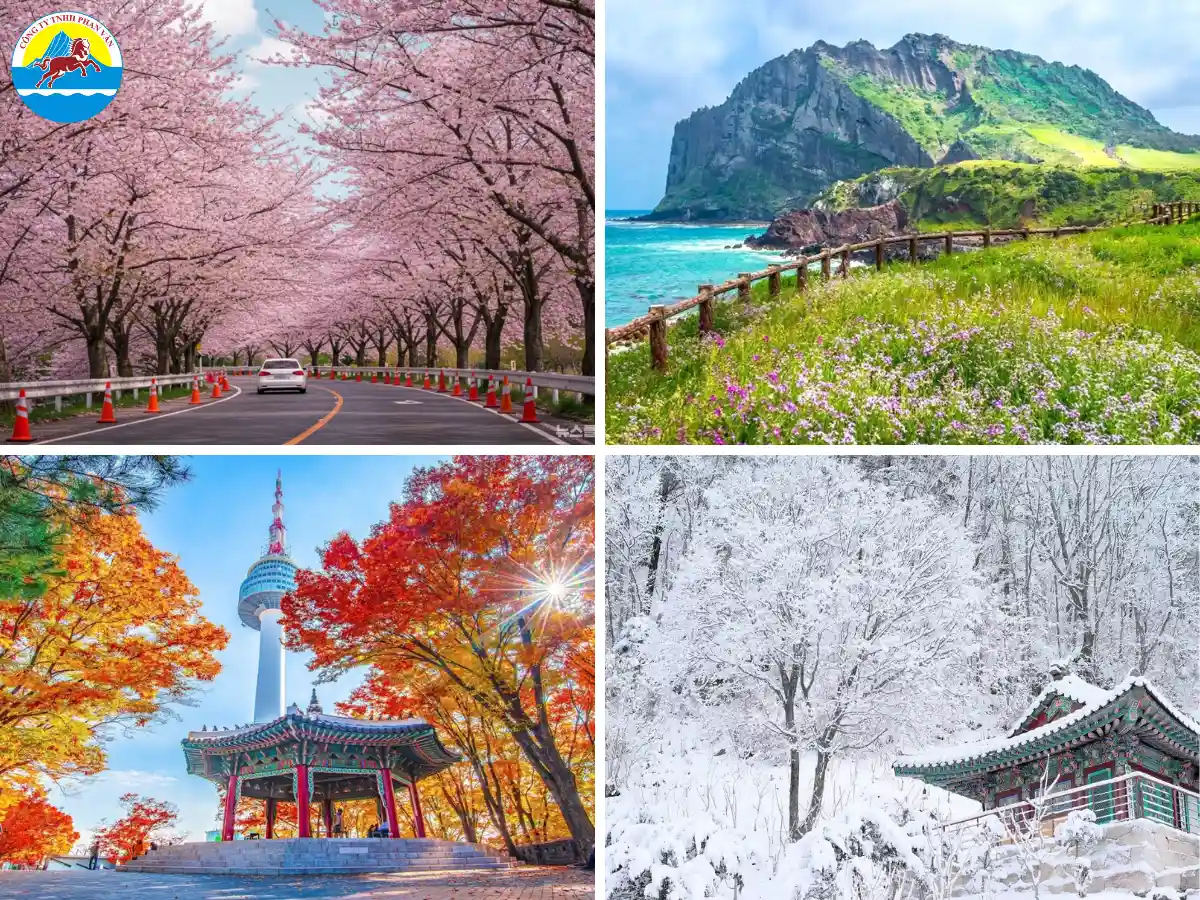 Mỗi mùa ở Hàn Quốc có đặc điểm khí hậu và cảnh quan khác nhau