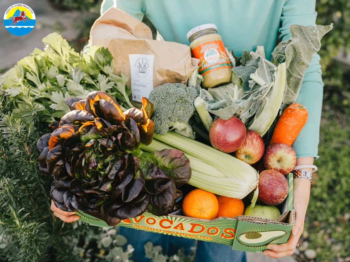 kinh nghiệm đi du lịch Úc tự túc