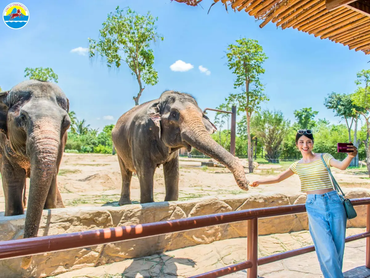 kinh nghiệm du lịch nam hội an