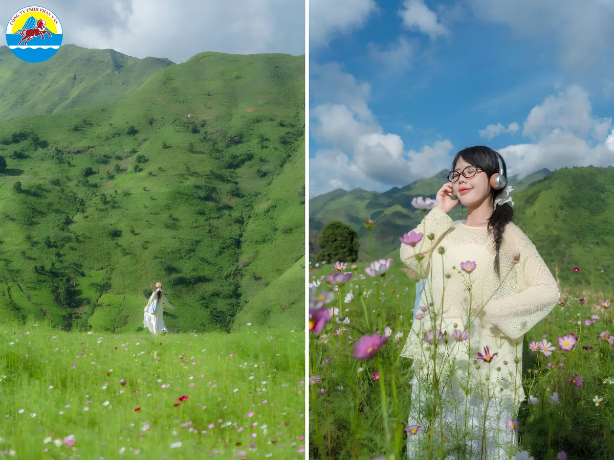 kinh nghiệm đi Tà Xùa