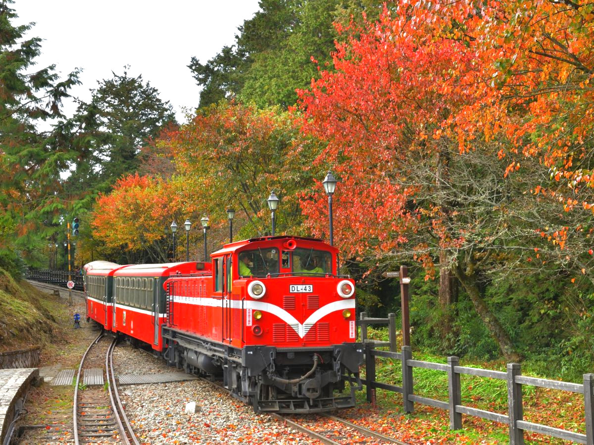 kinh-nghiem-du-lich-alishan-phan-van-travel-3