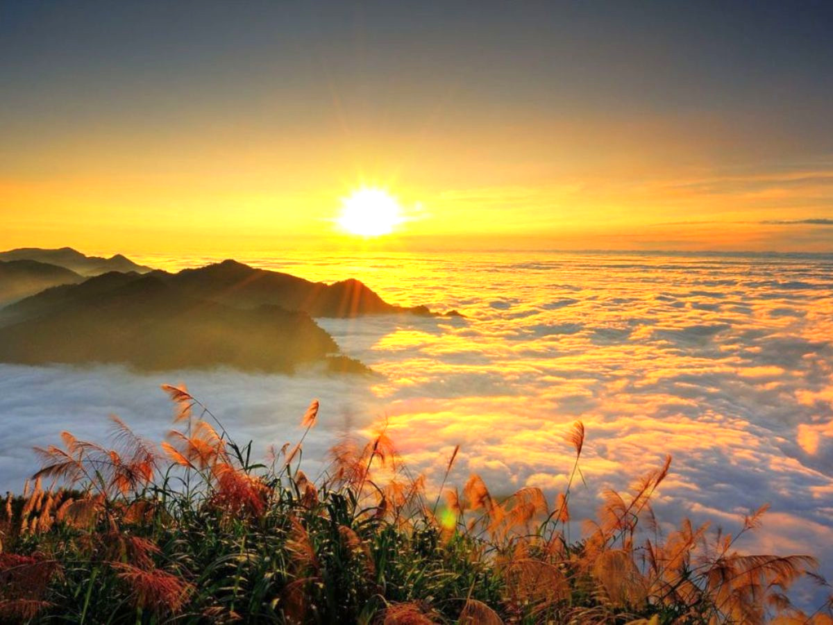 kinh-nghiem-du-lich-alishan-phan-van-travel-4