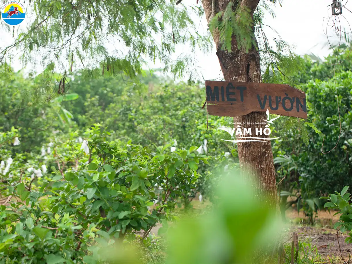 du lịch bến tre tự túc​