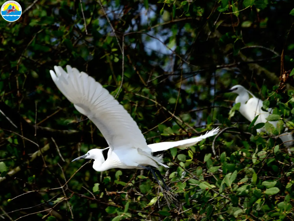 du lịch bến tre tự túc