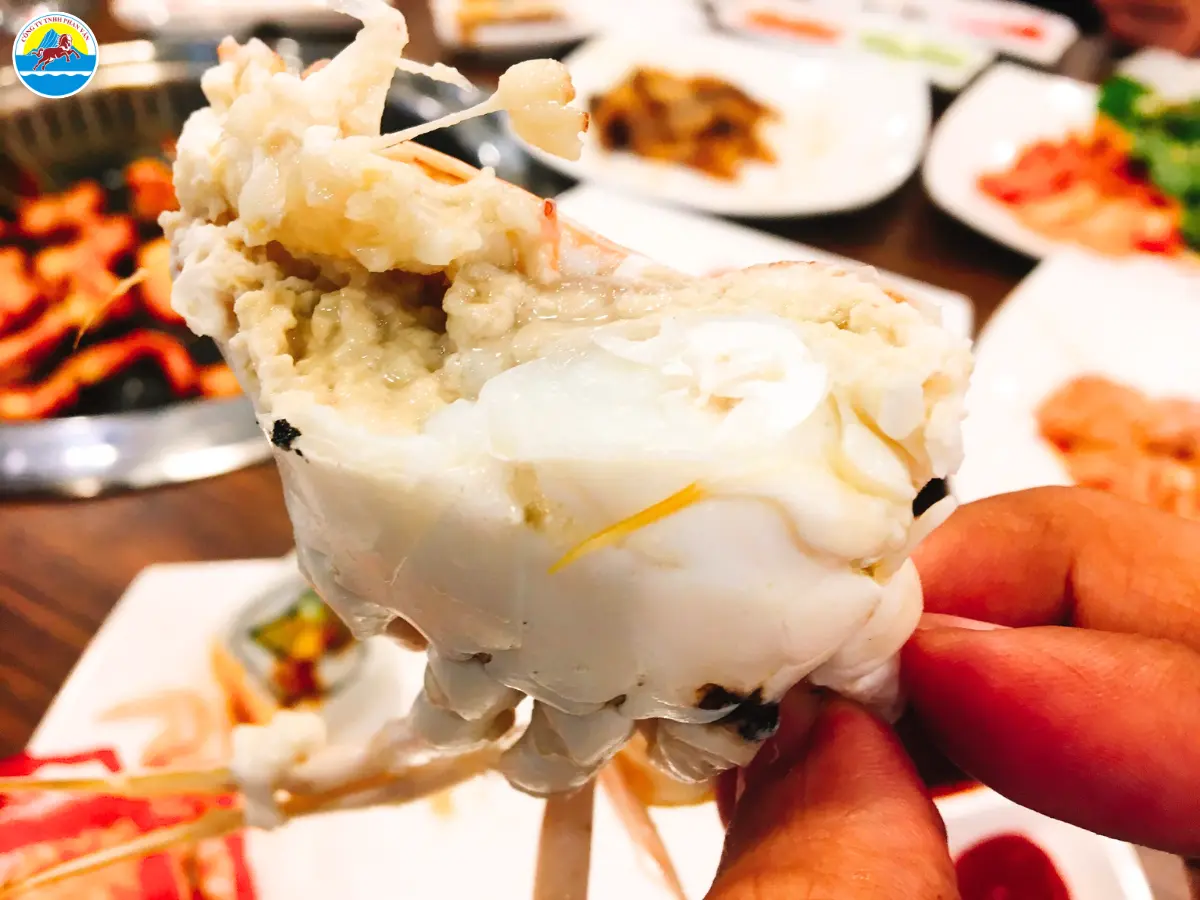 du lịch biển nhật lệ quảng bình