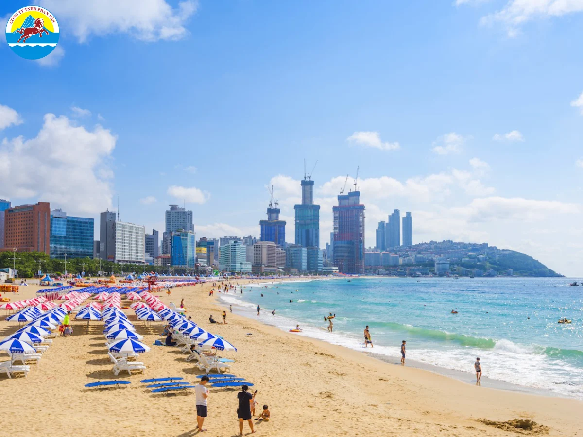 Tham quan bãi biển Haeundae và chụp ảnh