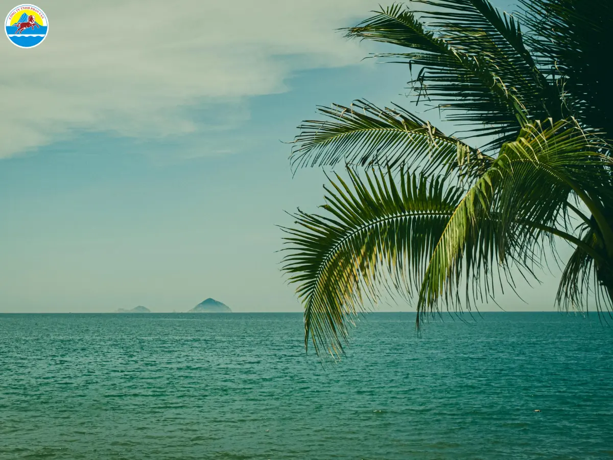 kinh nghiệm du lịch cam ranh​