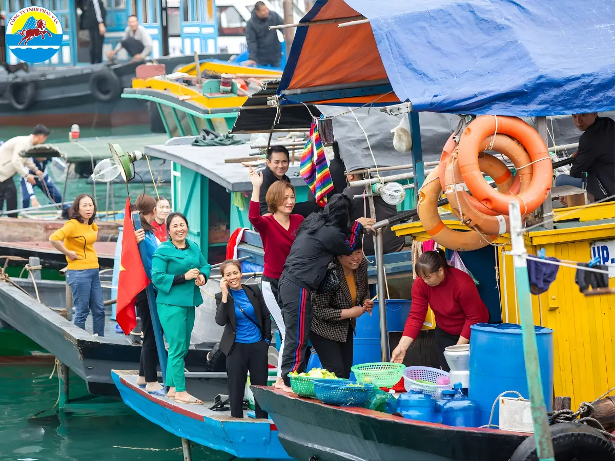 kinh nghiệm du lịch Cát Bà 1 ngày​