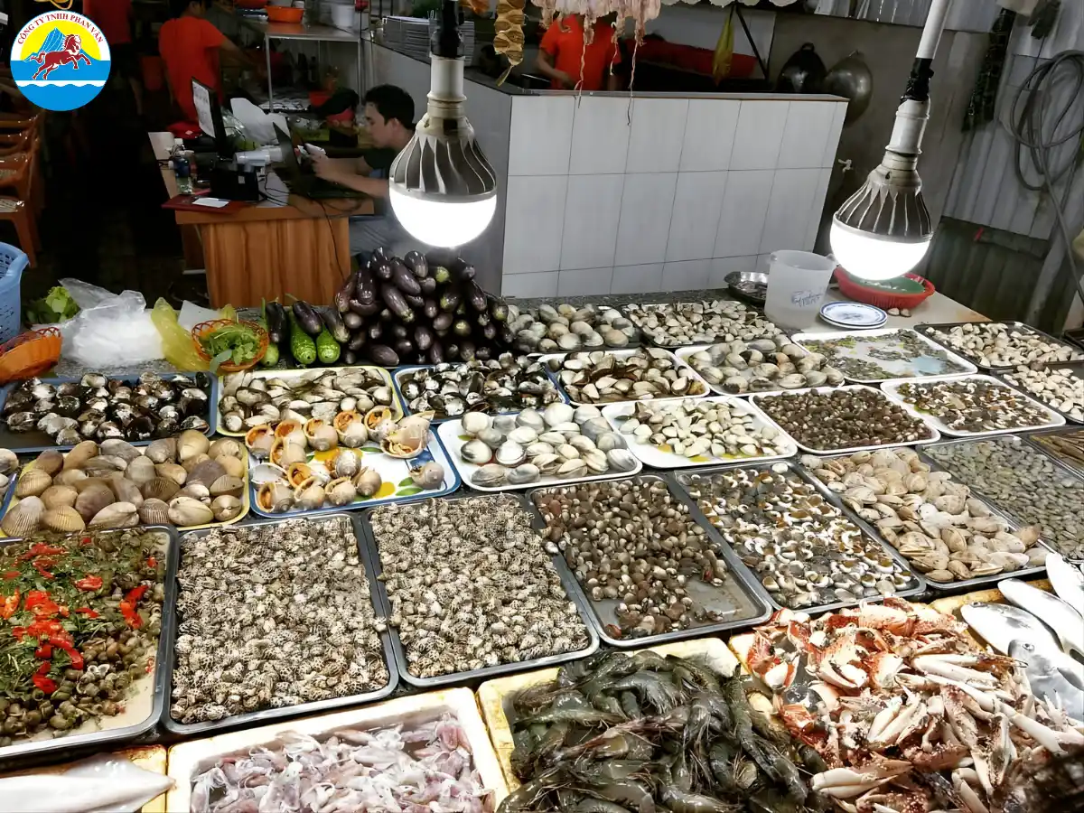 kinh nghiệm du lịch Côn Đảo 3 ngày 2 đêm