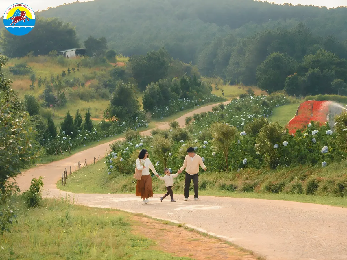 kinh nghiệm du lịch Đà Lạt