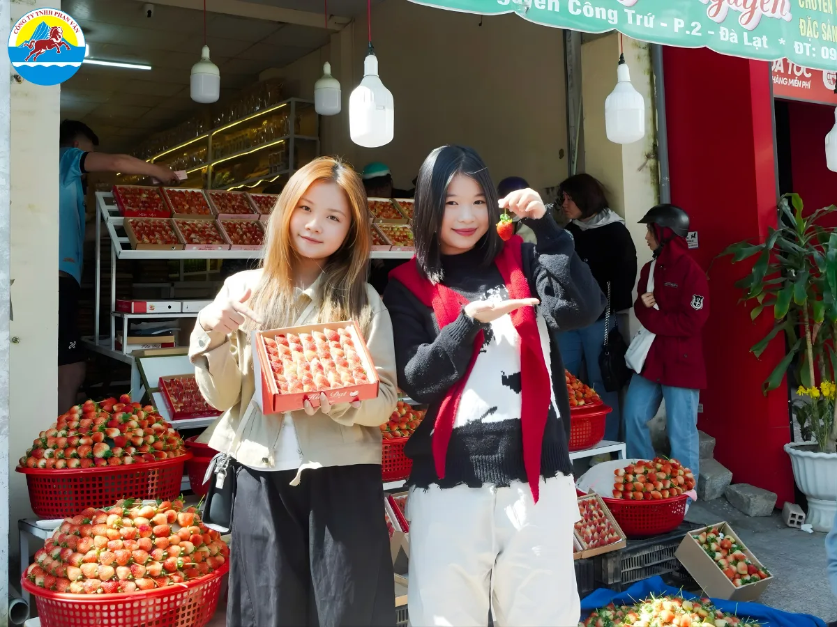kinh nghiệm du lịch Đà Lạt 5 ngày 4 đêm​