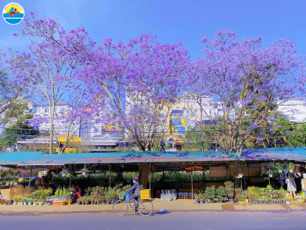 kinh nghiệm du lịch đà lạt 5 ngày 4 đêm​