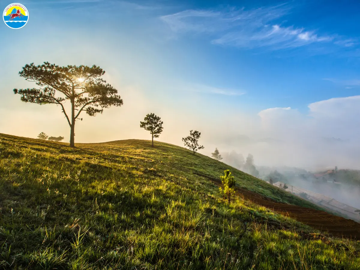 kinh nghiệm du lịch đà lạt 5 ngày 4 đêm
