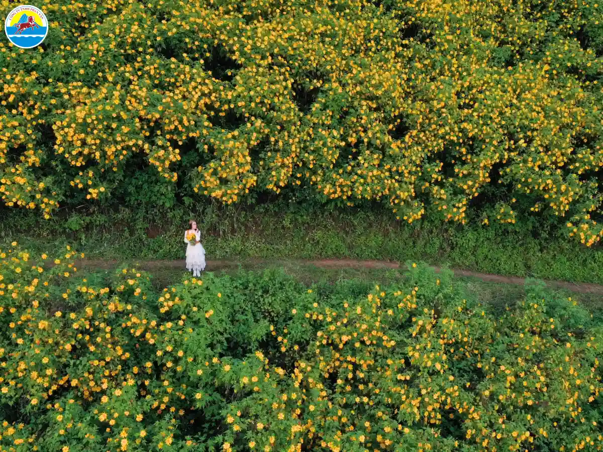 điểm du lịch đà lạt cho gia đình