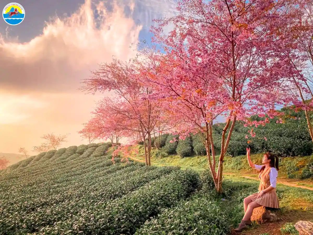 cẩm nang du lịch đà lạt