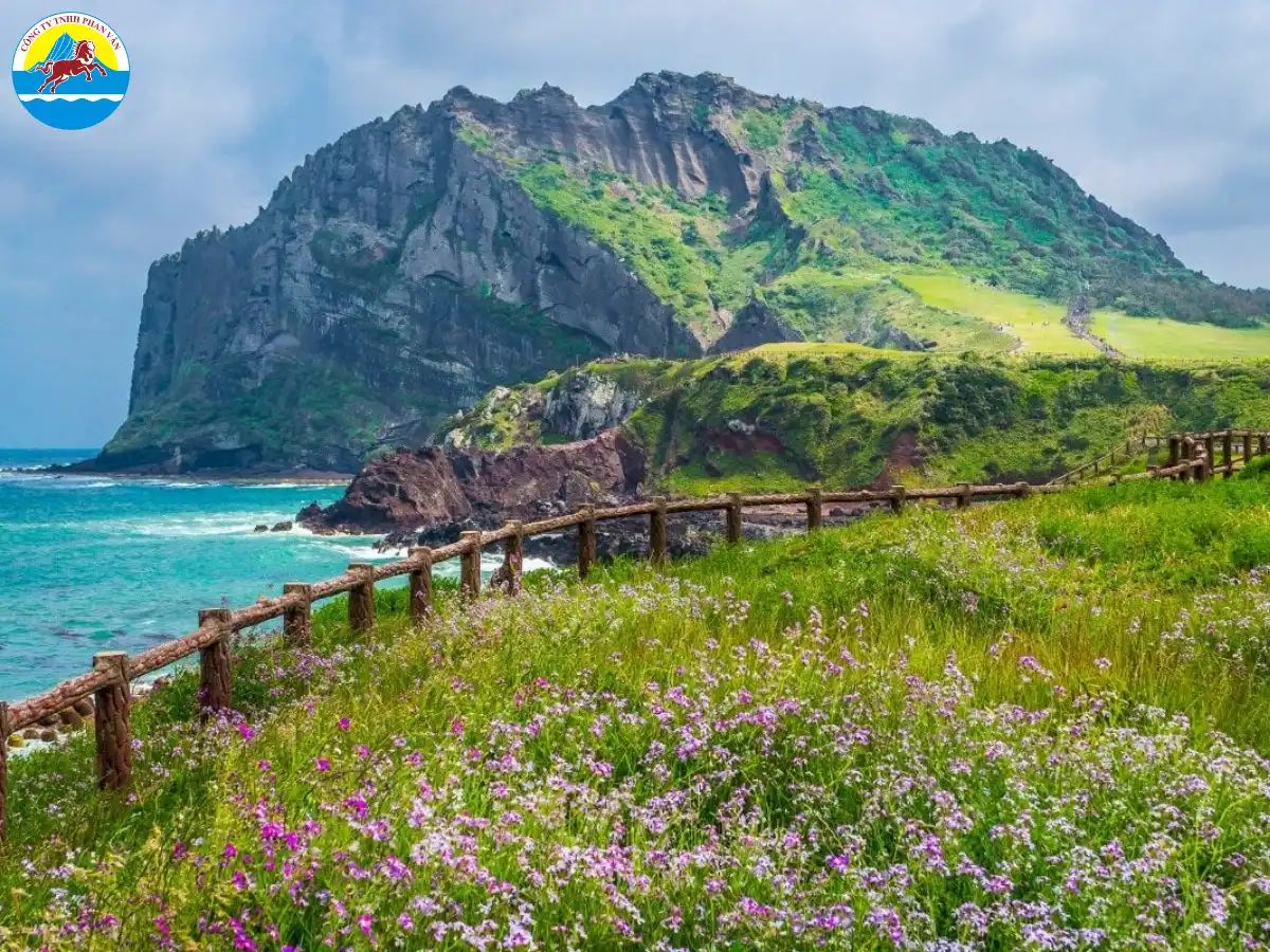 Mùa xuân tại đảo Jeju
