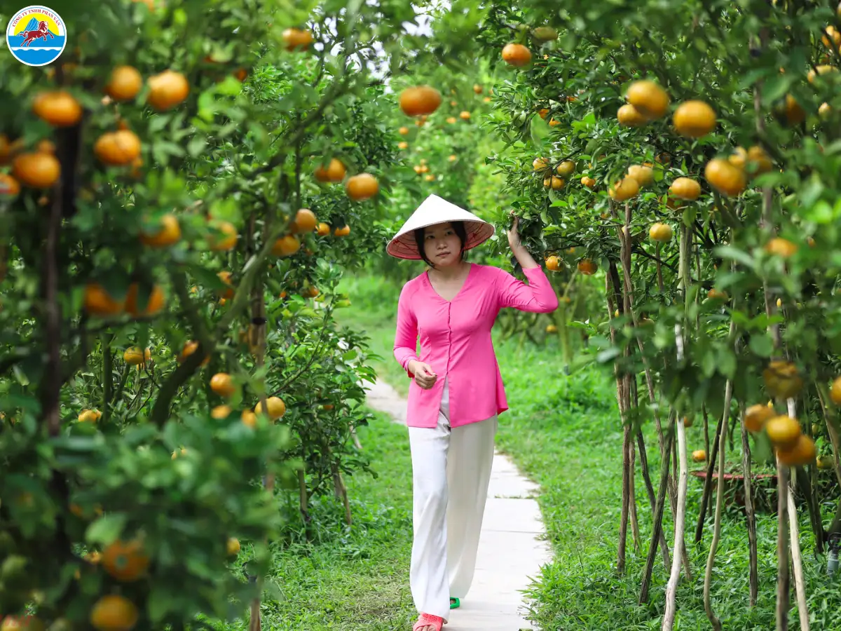 cẩm nang du lịch đồng tháp​