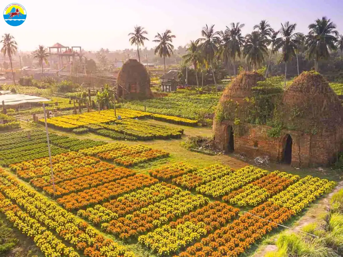 cẩm nang du lịch đồng tháp​