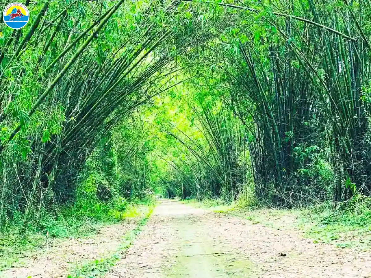 cẩm nang du lịch đồng tháp​
