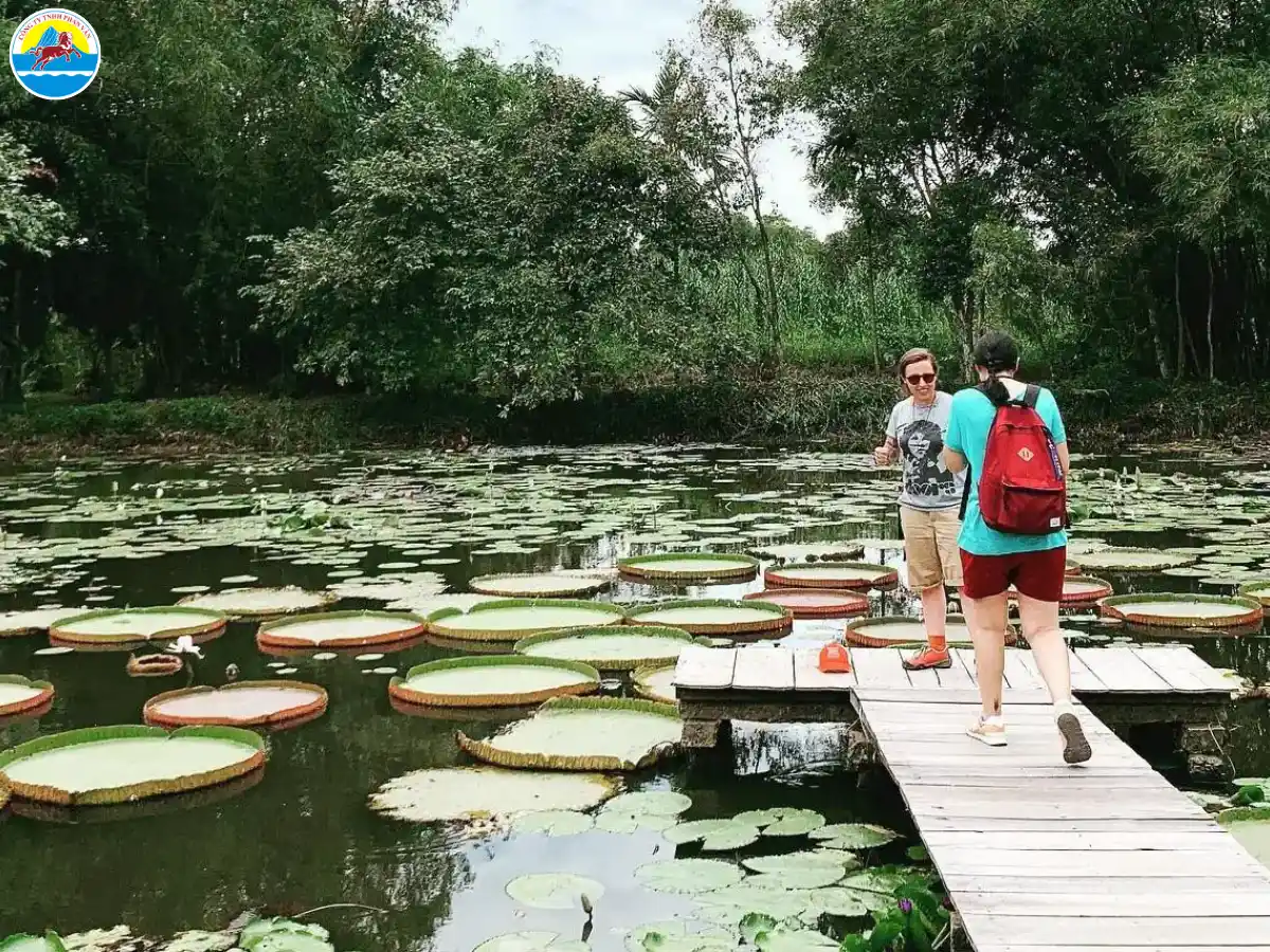 cẩm nang du lịch đồng tháp​