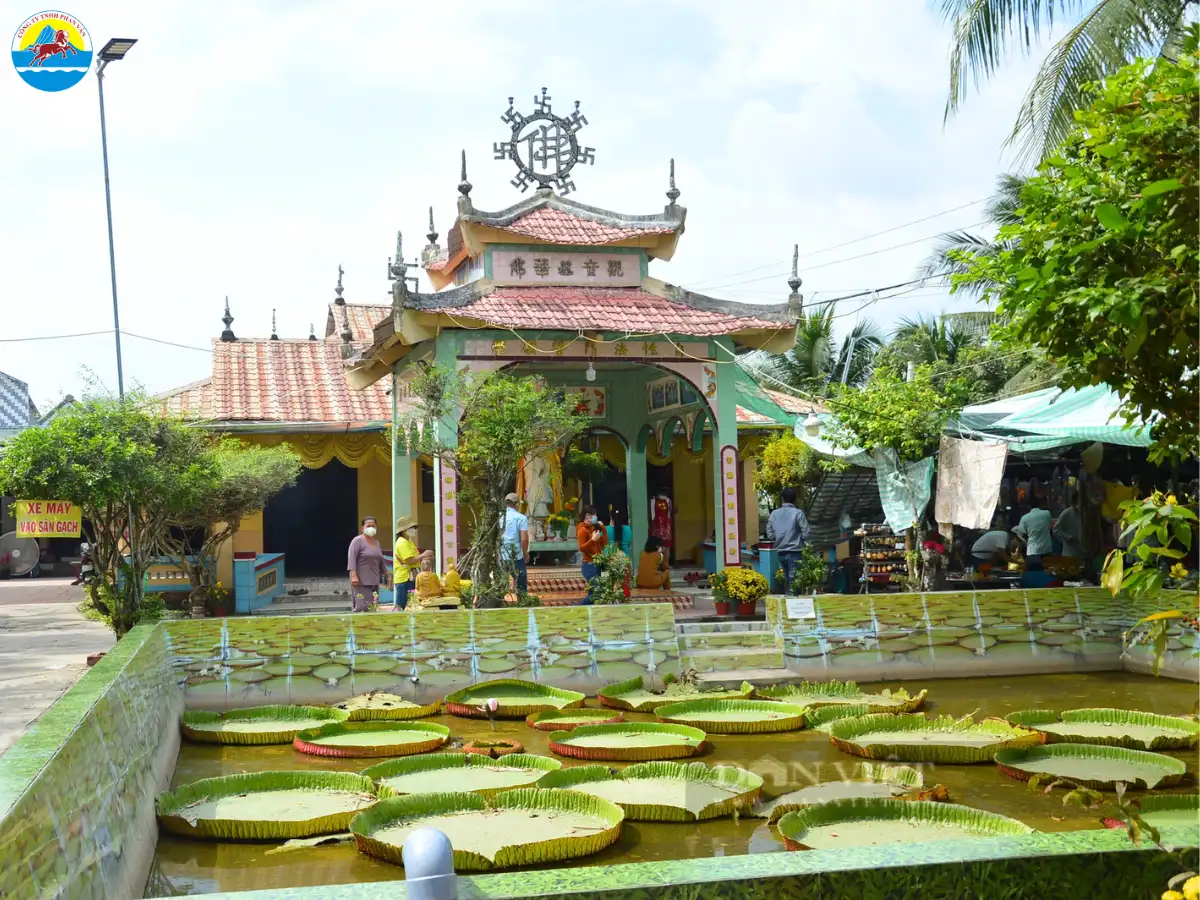 cẩm nang du lịch đồng tháp