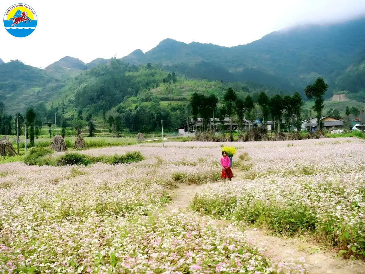 Đồng Văn Hà Giang