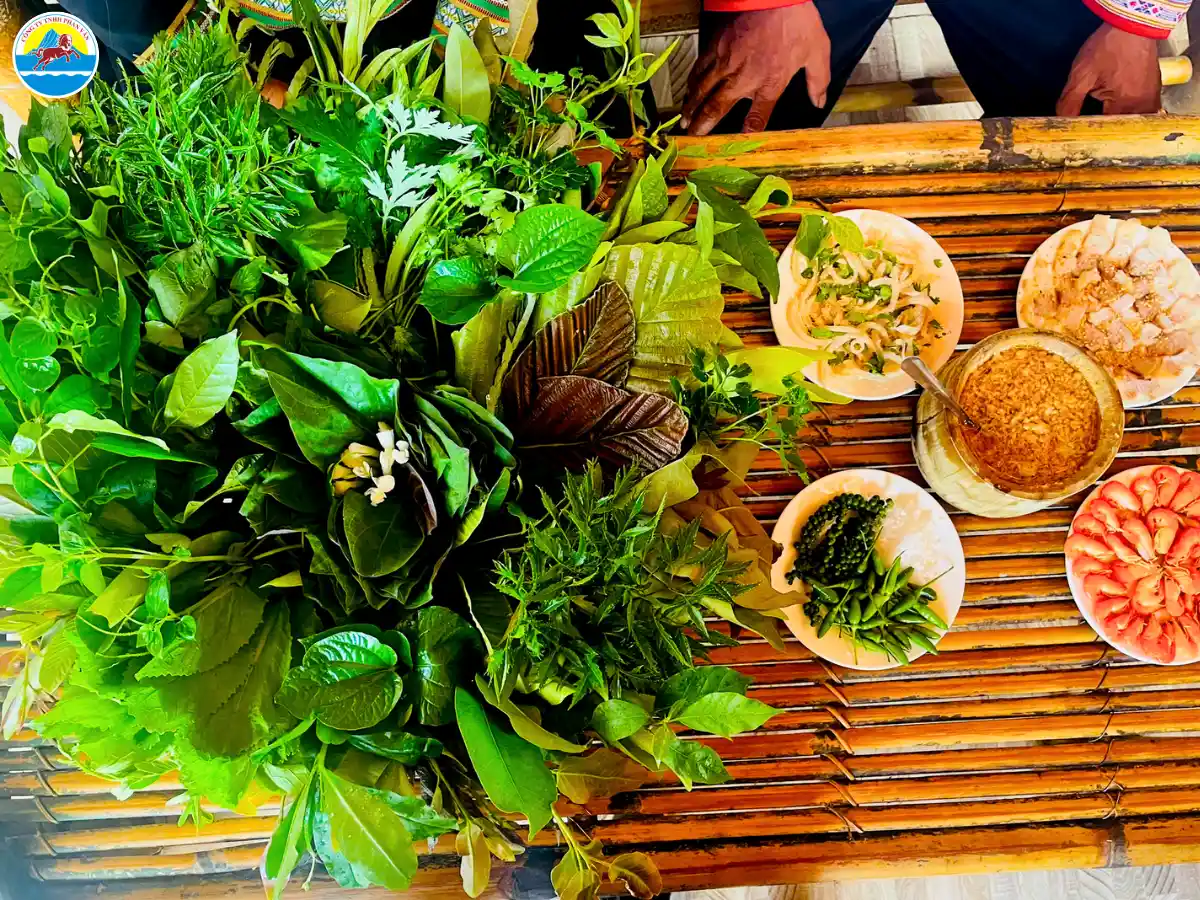 du lịch gia lai tự túc​