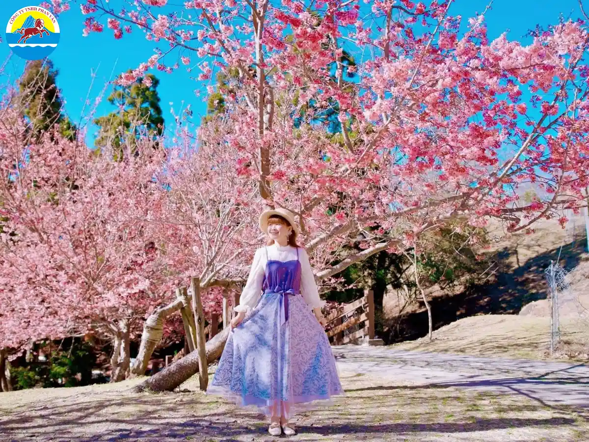 Lễ hội hoa đào