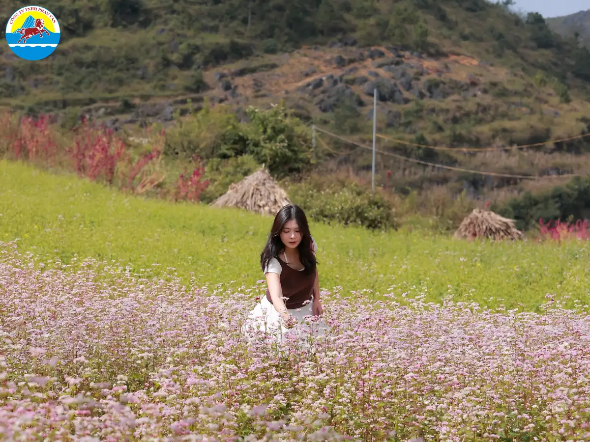 kinh nghiệm du lịch Hà Giang