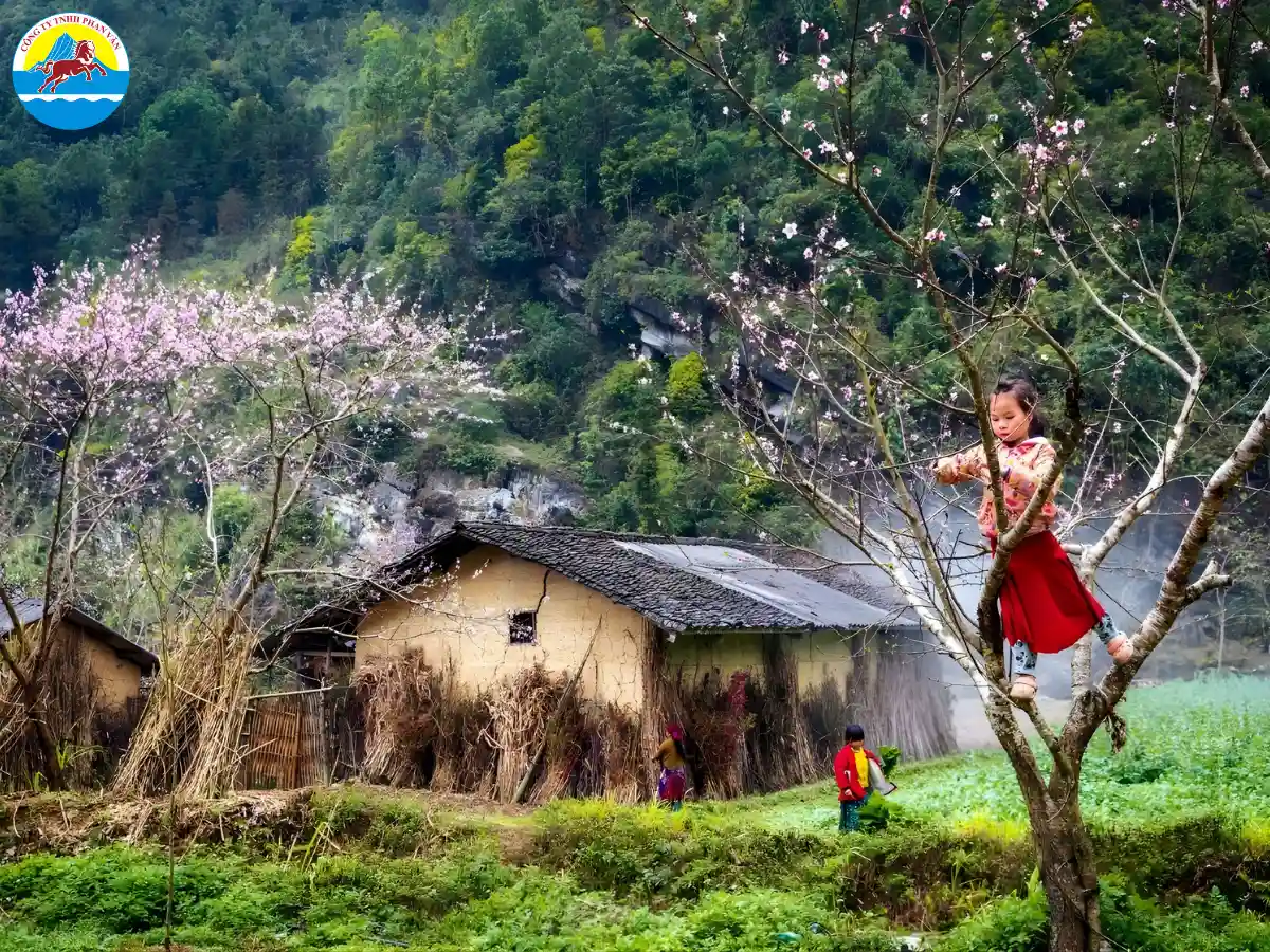 Phố cổ Đồng Văn
