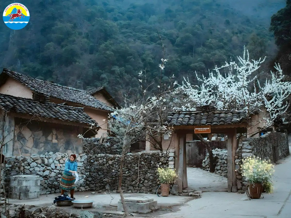 du lịch Hà Giang 2 ngày 1 đêm