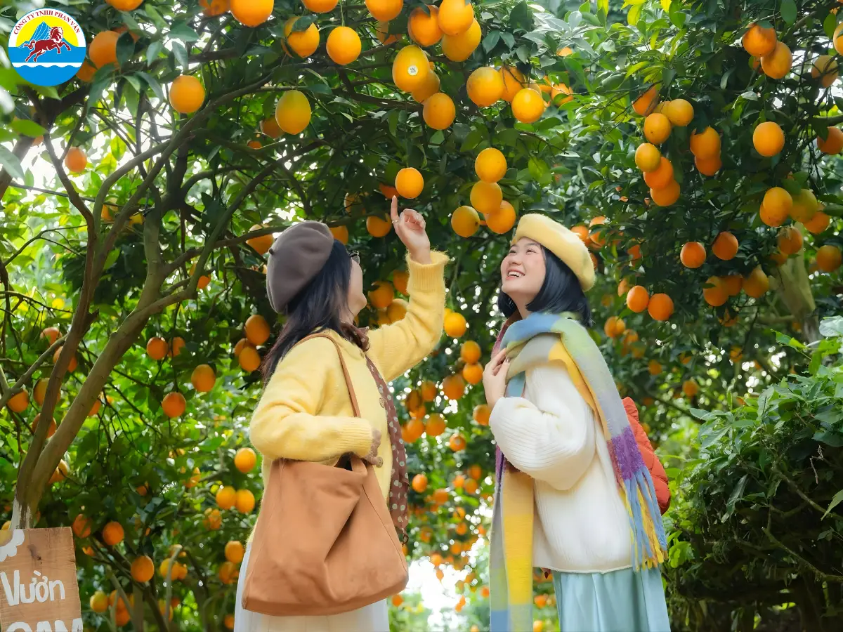 du lịch Hà Giang 3 ngày 2 đêm