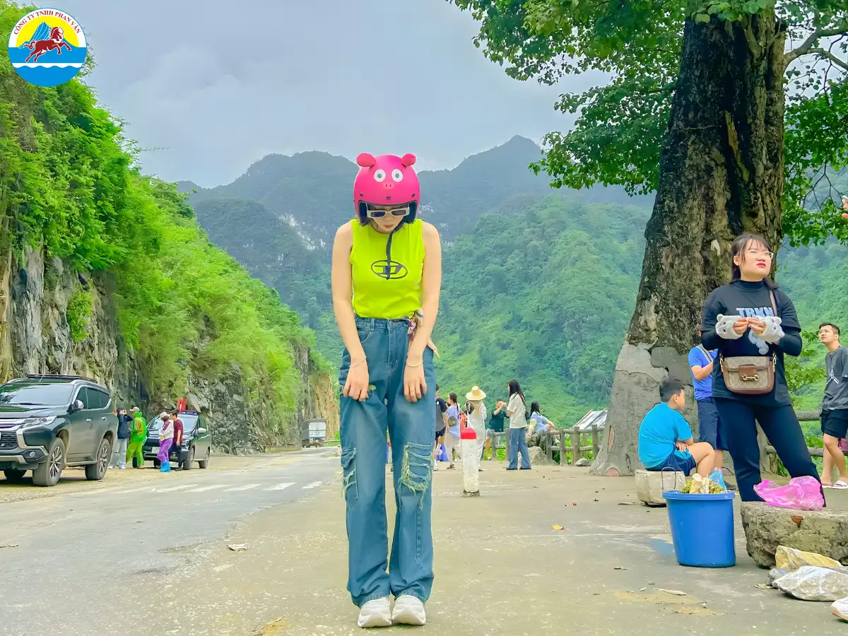 Cây Cô Đơn (Cán Tỷ)