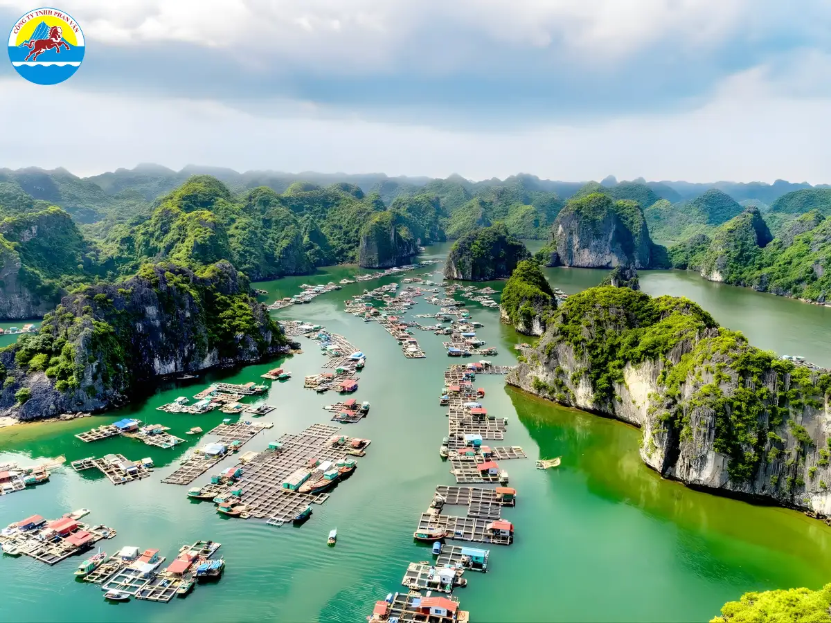 kinh nghiệm du lịch Hạ Long 2 ngày 1 đêm