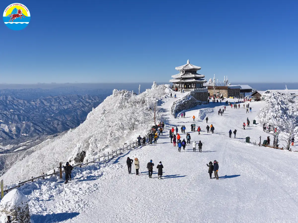 Chi phí phụ thuộc vào thời điểm đặt dịch vụ, hãng bay và tiêu chuẩn khách sạn
