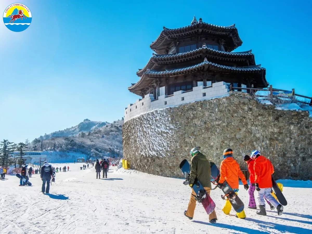 Phan Văn Travel mang đến những tour du lịch giá rẻ, chất lượng