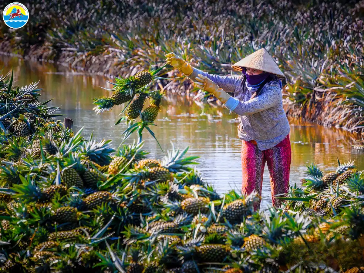 kinh nghiệm du lịch hậu giang