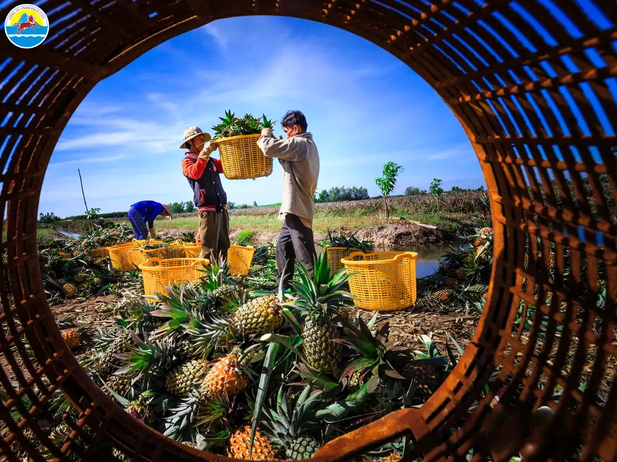 kinh nghiệm du lịch hậu giang