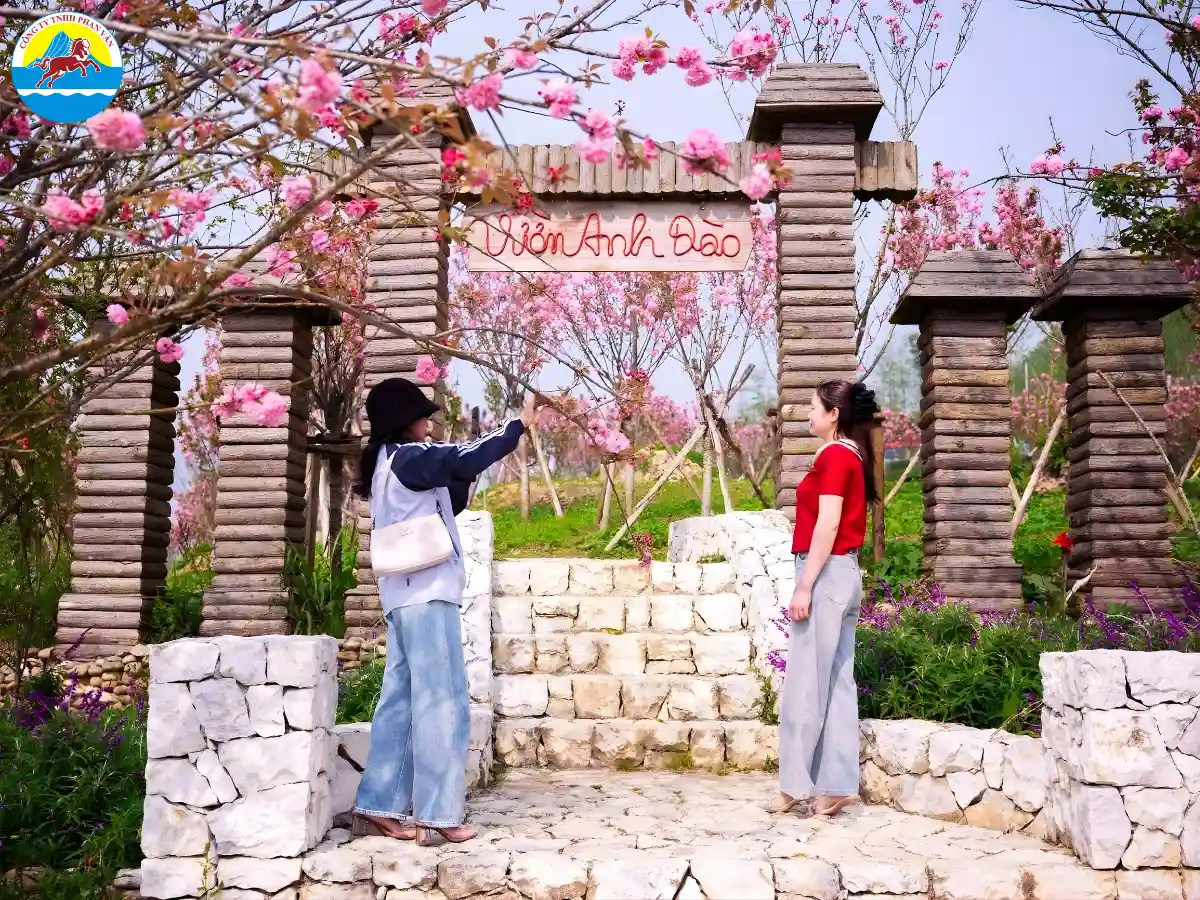 kinh nghiệm du lịch Lào Cai