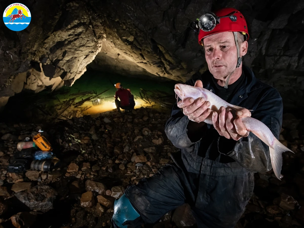 Thăm Fish Cave (hang động có cá linh thiêng)
