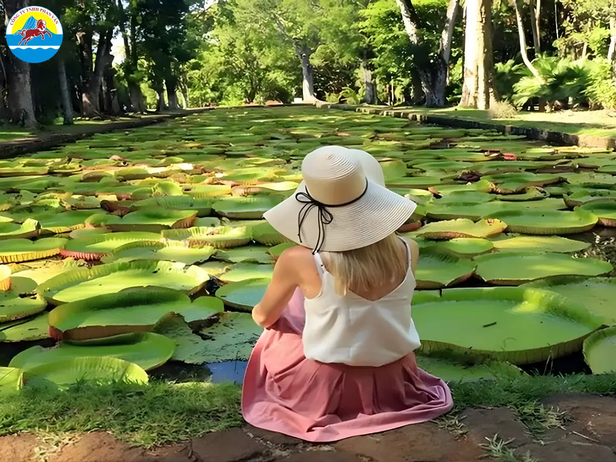 Thăm ao sen khổng lồ tại SSR