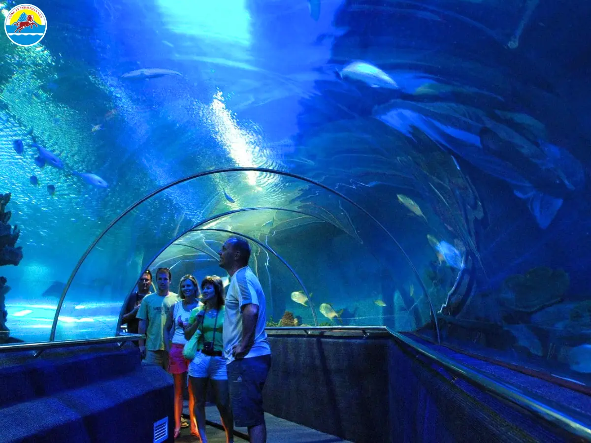 kinh nghiệm du lịch nha trang