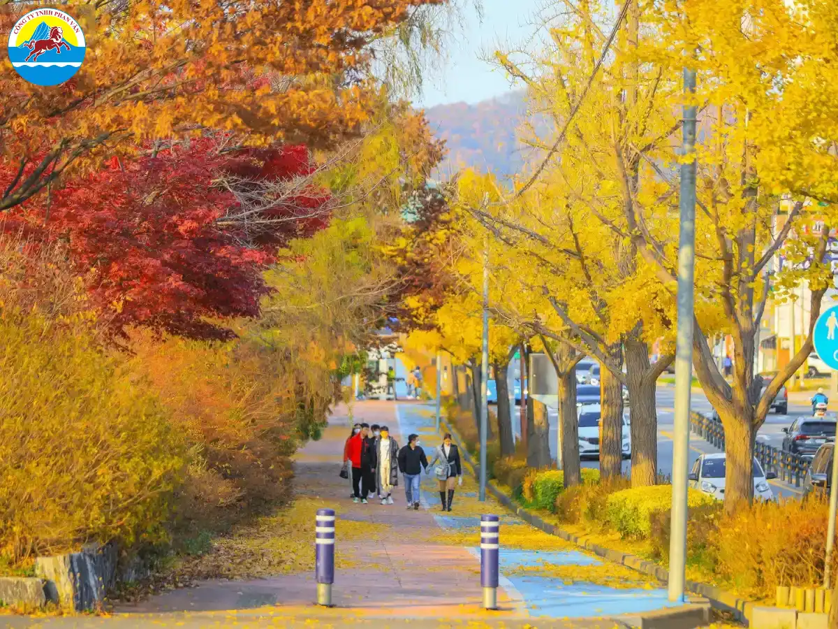 Mùa lá đỏ tháng 10 đưa Nhật Bản vào giai đoạn cao điểm du lịch