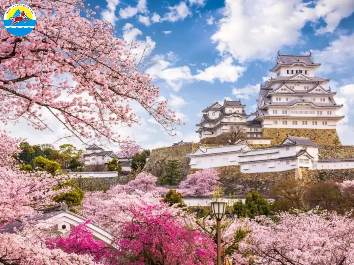 Phan Văn Travel cam kết cung cấp dịch vụ chất lượng cao