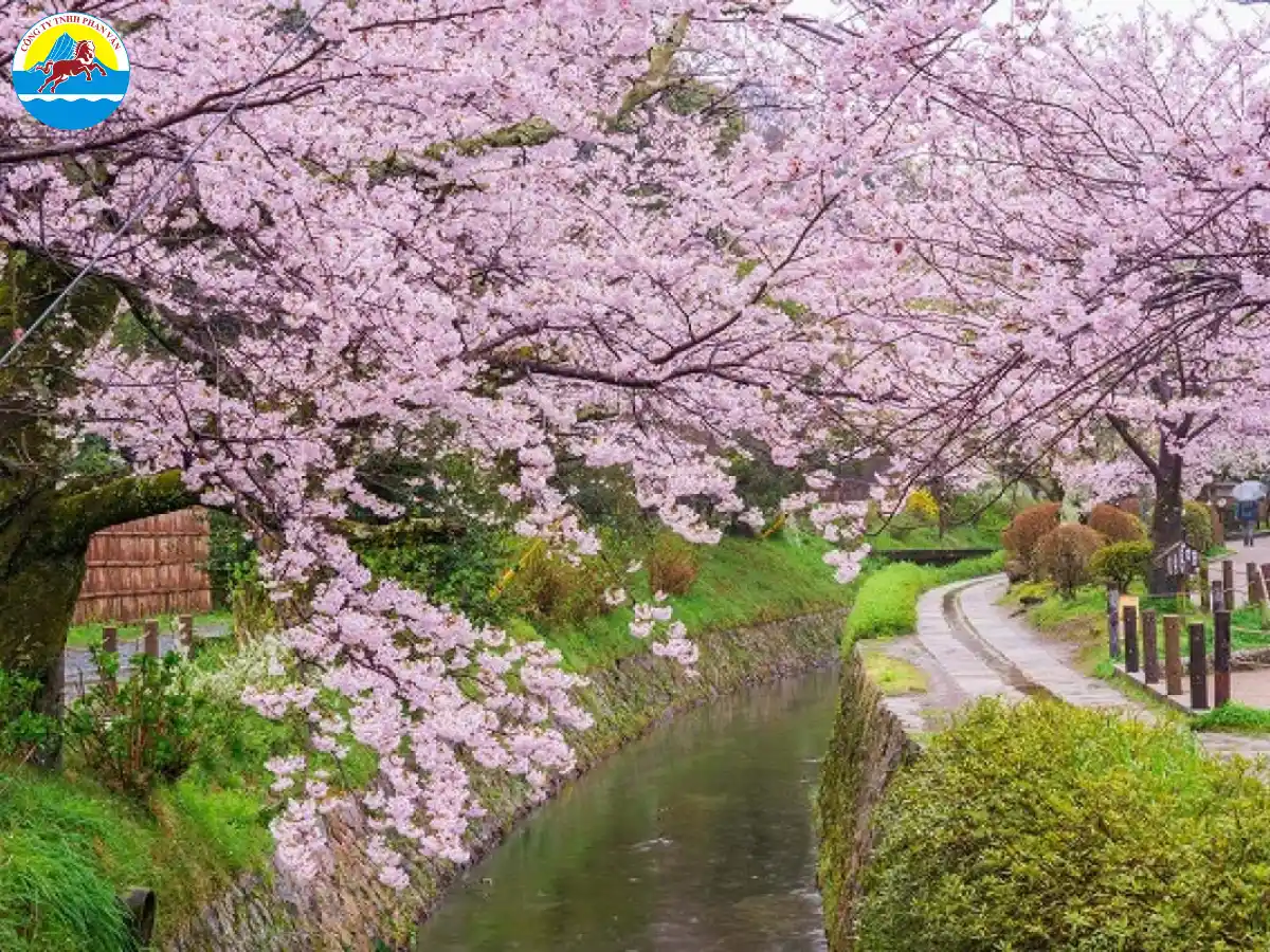 Tetsugaku-no-Michi